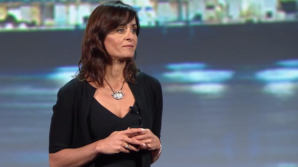Niloofar Razi Howe,  cybersecurity leader,  cyber strategy expert,  technology innovation,  security policy,  Iranian American entrepreneur,  RSA Security,  digital defense,  cyber risk management,  tech leadership